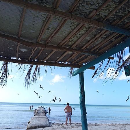 Mi Habitat Holbox-Maravilla Natural Εξωτερικό φωτογραφία