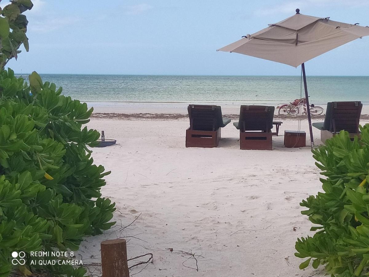 Mi Habitat Holbox-Maravilla Natural Εξωτερικό φωτογραφία