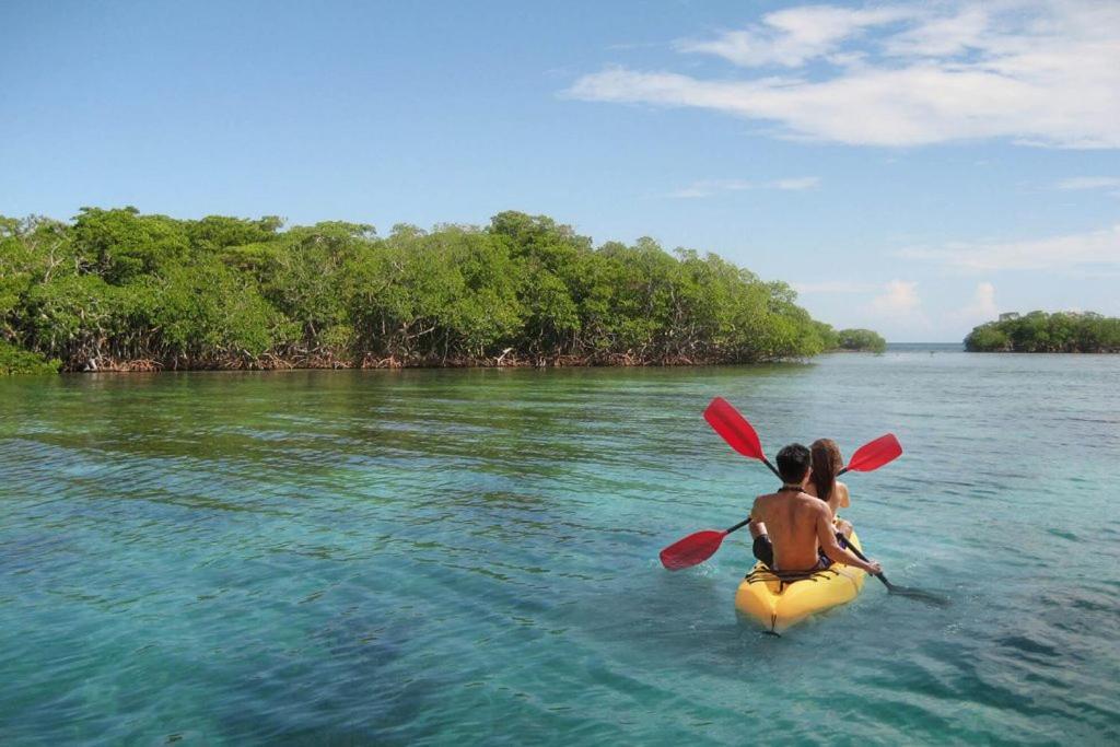 Mi Habitat Holbox-Maravilla Natural Εξωτερικό φωτογραφία
