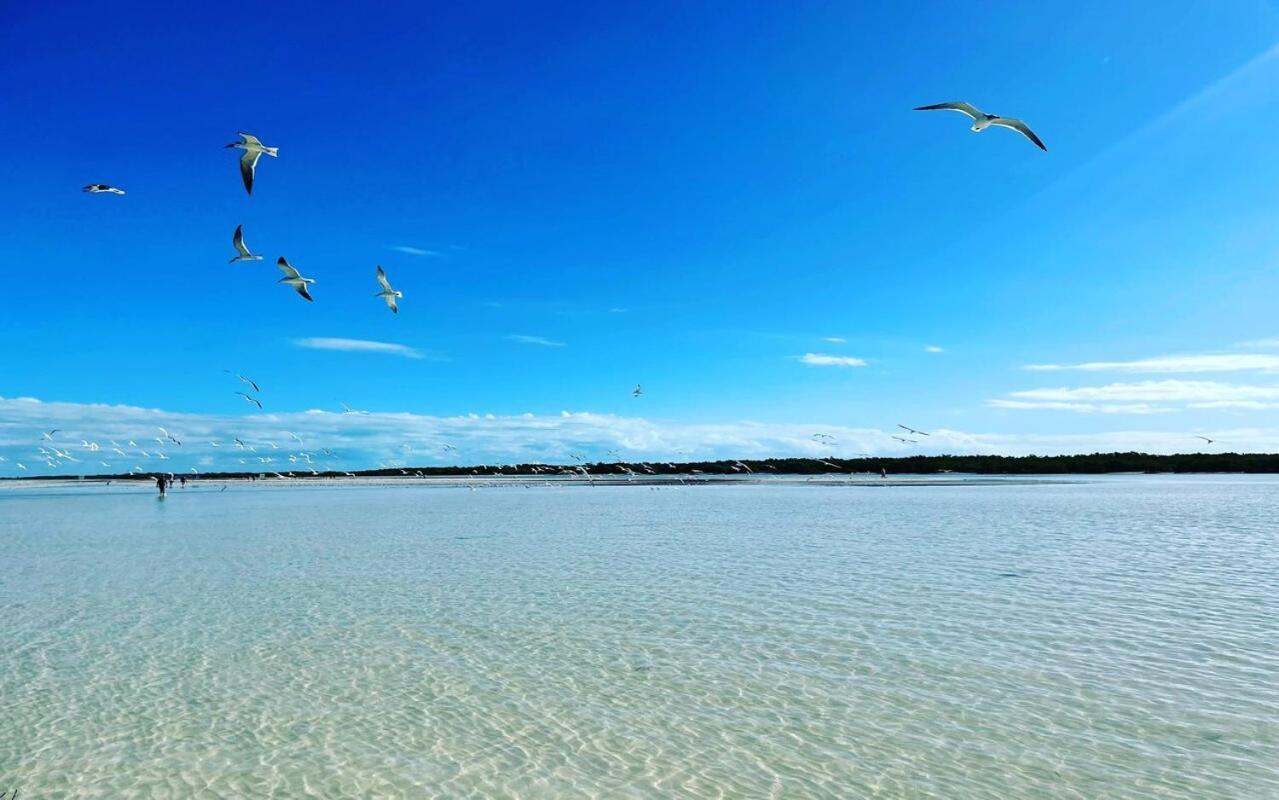 Mi Habitat Holbox-Maravilla Natural Εξωτερικό φωτογραφία