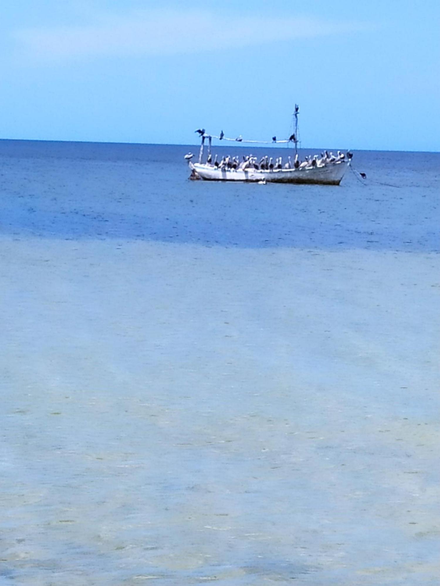 Mi Habitat Holbox-Maravilla Natural Εξωτερικό φωτογραφία