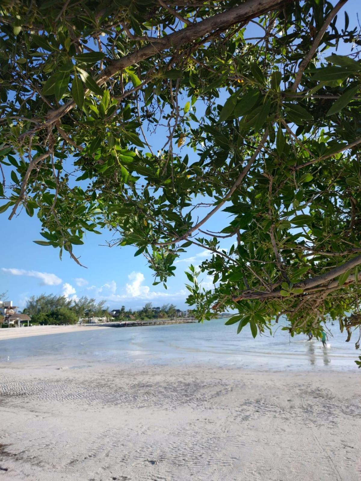 Mi Habitat Holbox-Maravilla Natural Εξωτερικό φωτογραφία