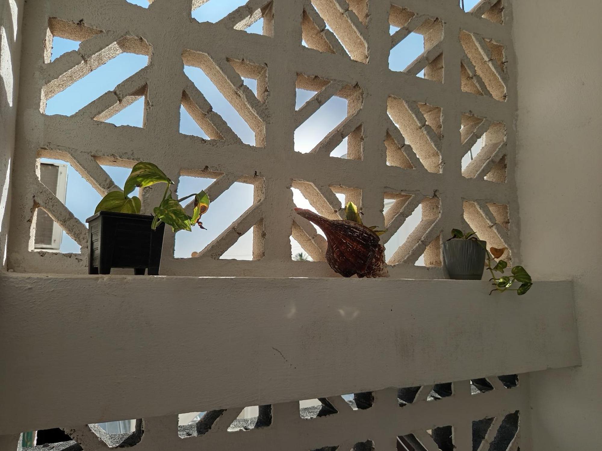 Mi Habitat Holbox-Maravilla Natural Εξωτερικό φωτογραφία