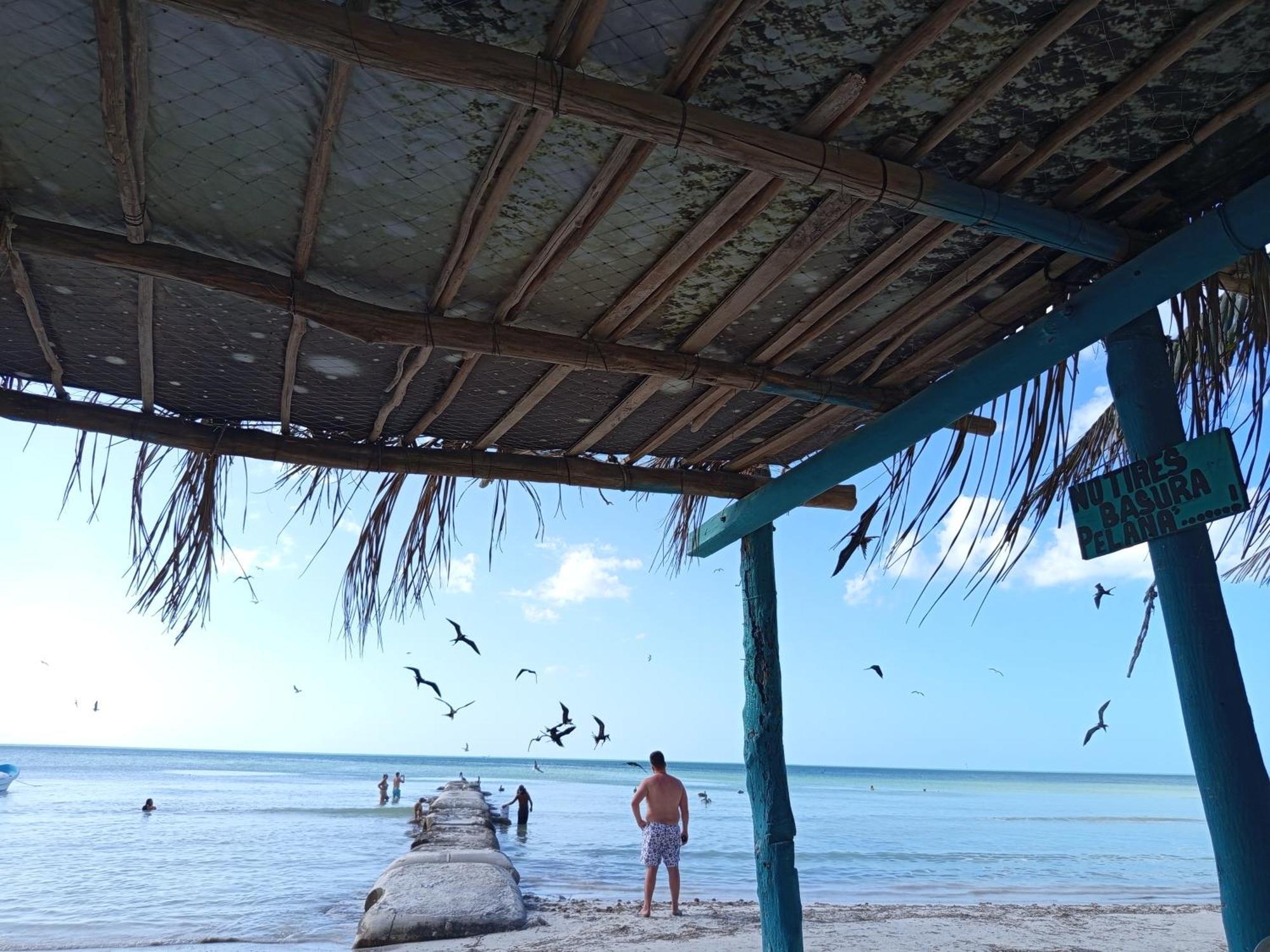 Mi Habitat Holbox-Maravilla Natural Εξωτερικό φωτογραφία